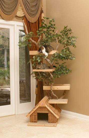 arbre a chat en bois naturel et plantes