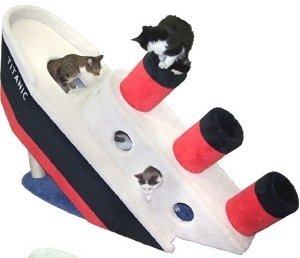 arbre a chat titanic