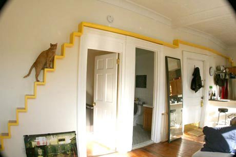 escalier pour chat
