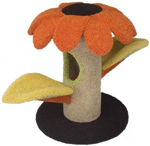 griffoir et arbre en sisal