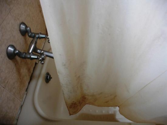 changer rideau de douche changer rideau de douche