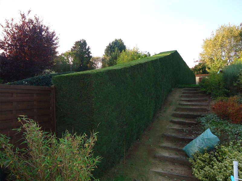 elagage-et-jardin.be