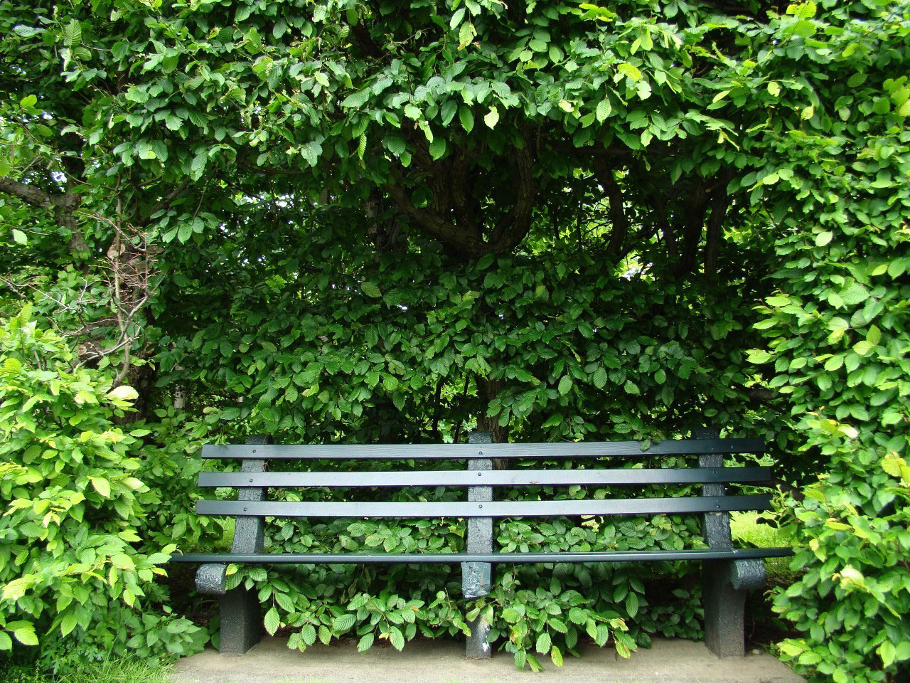 Public Domain Pictures