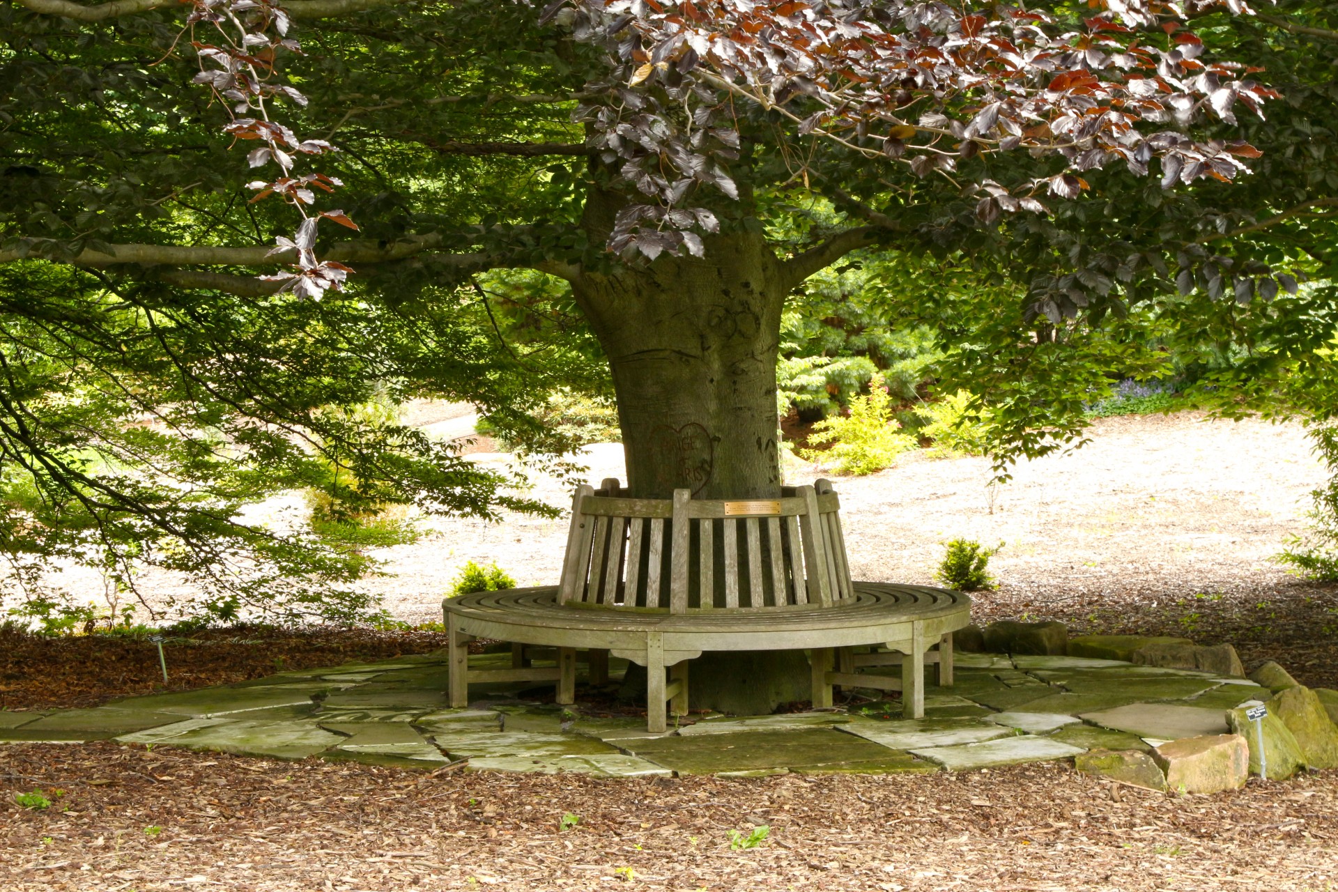 Banc en bois de jardin tendance entourant complètement un grand arbre chêne avec feuilles mortes faisant de l'ombre. Parterre en différentes pierres. crédit photo©Perfect Plants