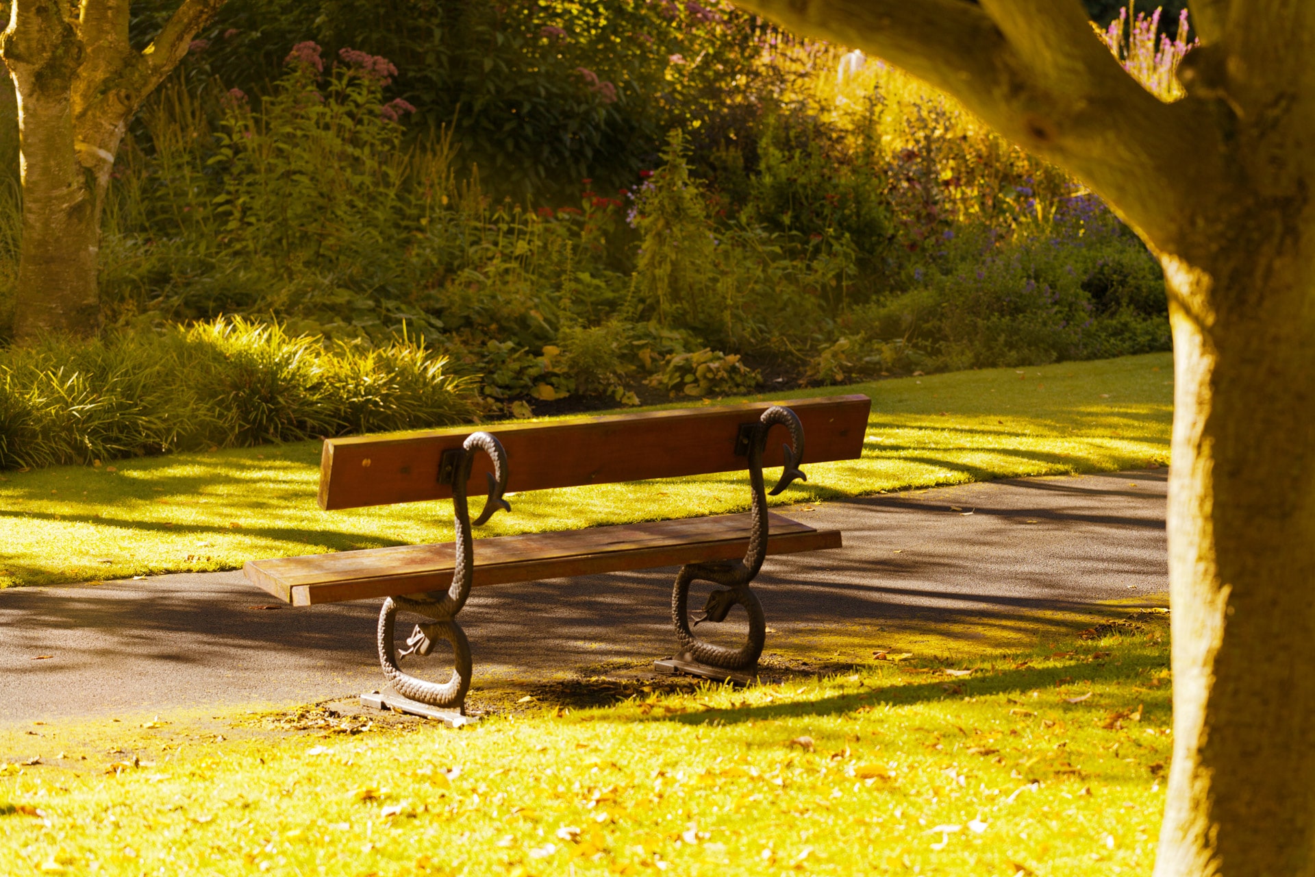 Banc de jardin tendance avec deux planches en bois chêne et deux pieds originaux en forme de serpents. Pelouse verte bien tondue, végétation abondante. crédit photo©Public Domain Pictures