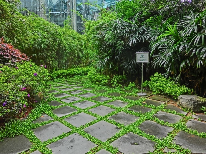 dalles-de-jardin