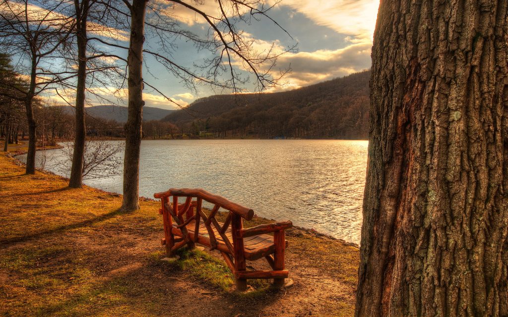 Banc de jardin tendance en bois, fait de différents tronçons. Arbres morts le long d'un magnifique lac avec vue sur un paysage forestier, coucher de soleil et ciel nuageux. crédit photo©paper4pc.com