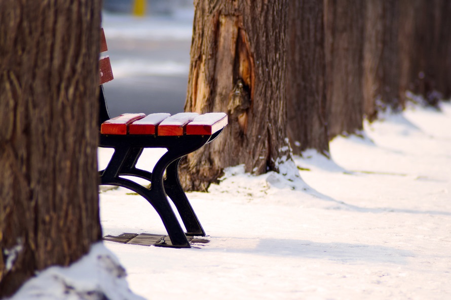 Banc de jardin tendance classique en bois cerisier avec deux pieds noir en acier. Décor d'hiver avec neige autour, plusieurs troncs d'arbres le long de l'allée. crédit photo©Pexels