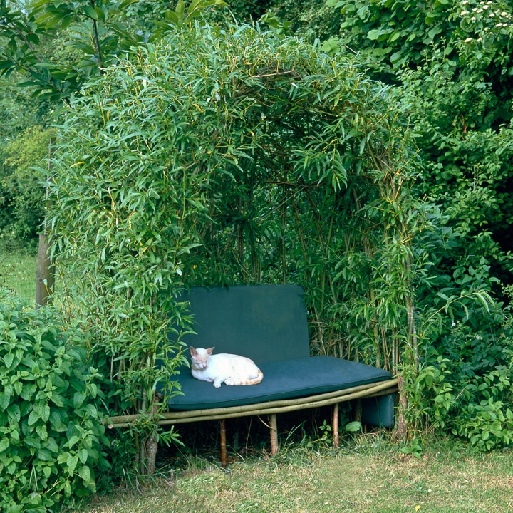Banc de jardin tendance en bois avec grand coussin rectangulaire bleu, chat blanc posé dessus. Environnement extérieur green power, pelouse et abri en plantes grimpantes. crédit photo©pinterest.com
