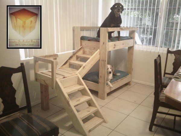 double niche en palette pour chien