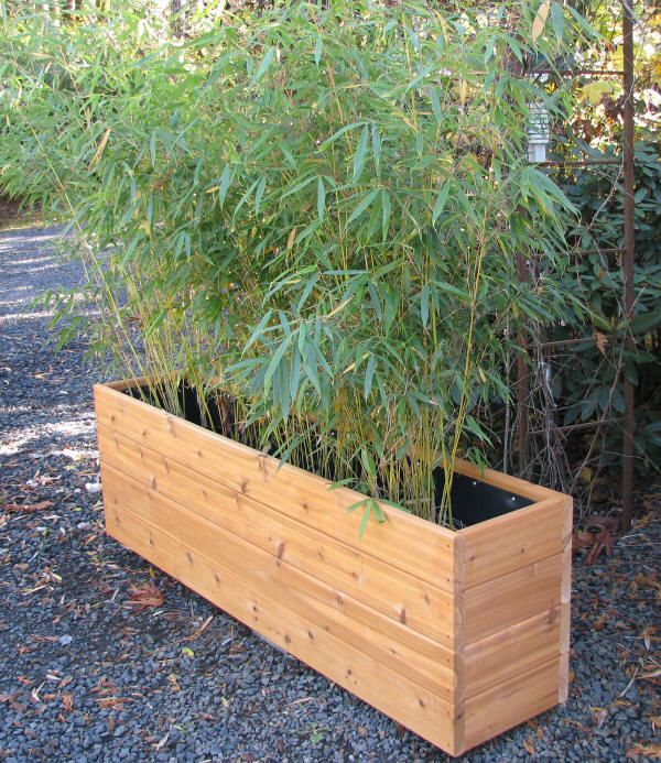 Jardinière en palettes rectangulaire en bois hêtre à l'extérieur et en noir à l'intérieur. Grandes plantes vertes dedans et échelle rouillée à droite.
