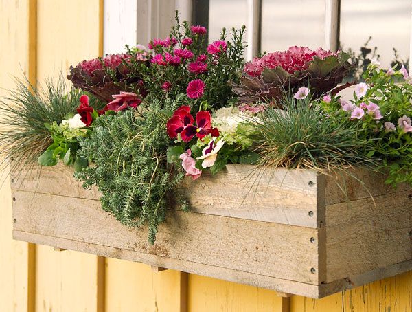 Jardinière en palette avec multitude de plantes, de fleurs dedans et de diverses couleurs comme le rose, le rouge et le blanc. Mur jaune.