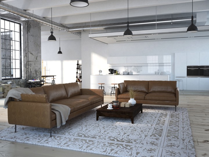salon design avec sofas en cuirs marrons