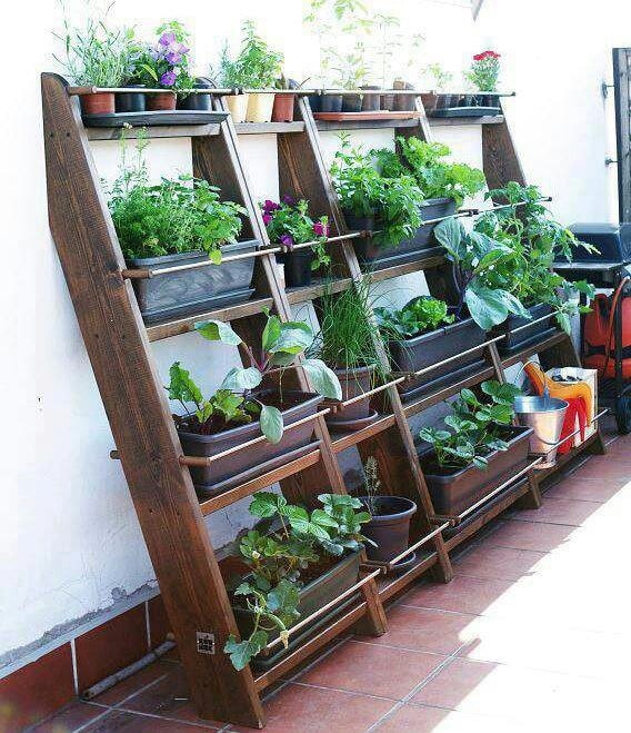 Mur végétal de balcon avec une multitude de plantes différentes sur une grande étagère en bois. Mur blanc et carrelage classique.