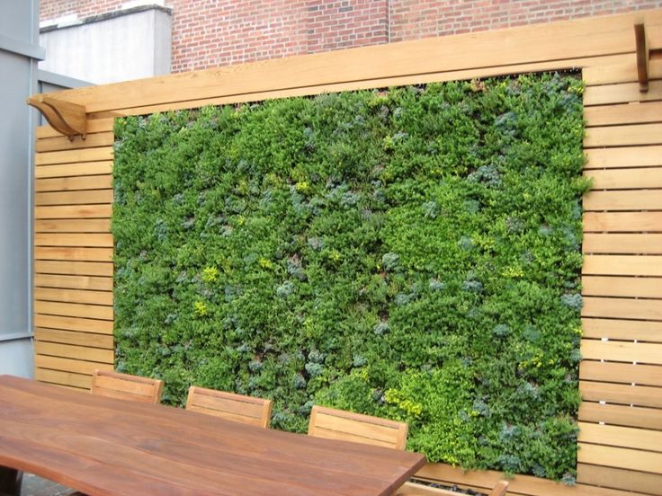 Mur végétal de balcon bien taillée en cyprès et fougères sur un magnifique bois bouleau. Table rectangulaire en bois cerisier avec différentes chaises.
