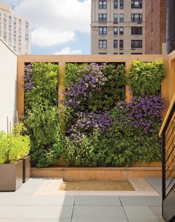 Mur végétal d'un grand balcon en bois, avec sol en dalles grises et petit espace doté de sable. Plantes grasses, fleurs violettes et escalier sur la droite.