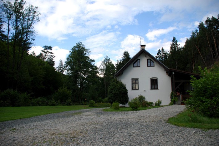 Entrée gravillonnée avec magnifique pelouse et grand jardin composé d'arbres, de chênes, de sapins, de buissons et de petites plantes. Petite maison blanche.