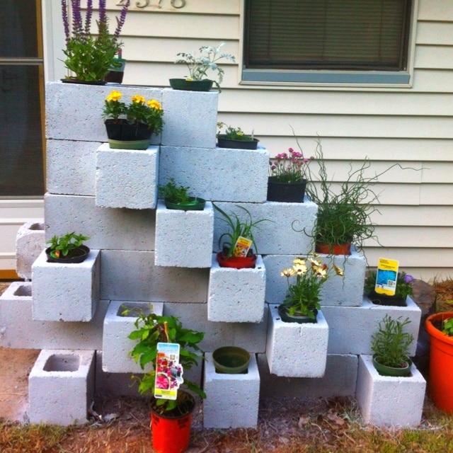 Parpaings décoratifs, à l'entrée d'une maison, faits en forme de marches dont chacune accueille une plante différente.