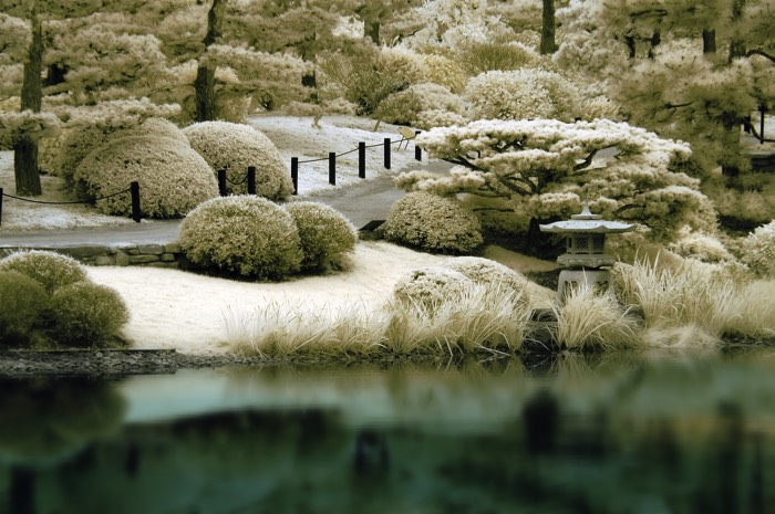 Décorer son jardin composé d'un lac avec une magnifique lanterne japonaise. Buissons, arbustes et végétation abondante avec petite allée.