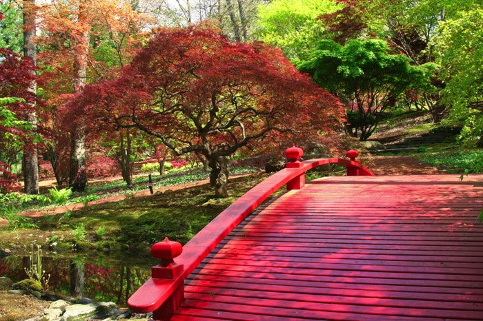 Décorer son jardin dans un style zen et moderne avec un petit point rouge au-dessus d'une zone d'eau. Multitude d'arbres et de végétation.