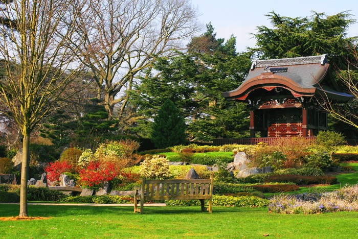 Décorer son jardin dans un style moderne zen japonais avec pelouse, banc, arbres, sapins, chênes et autres végétations. Petit sanctuaire japonais.