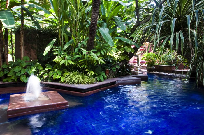 Piscine multiforme carrelée dans un environnement green power avec végétation abondante, palmiers et plantes grasses. Petite fontaine intégrée.