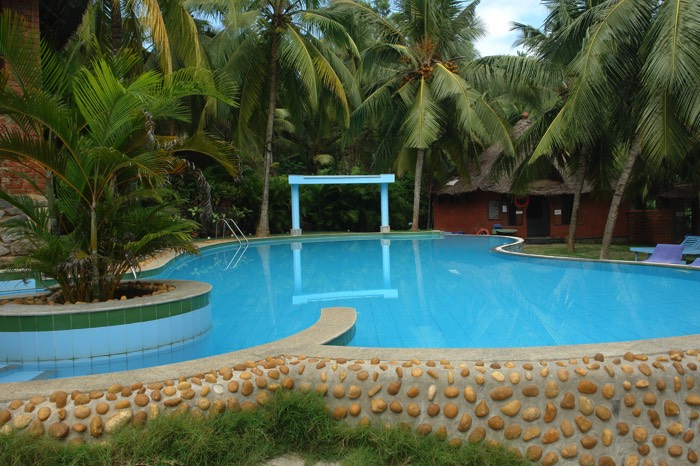 Aménagement jardin avec piscine ovale et eau bleue. Multitude de palmiers autour, transats bleus, pelouse et petit cabane en bois.