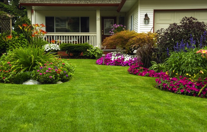 Jardin paysager avec une multitude de fleurs roses, blanches ou bleues et de plantes grasses sur pelouse bien tondue. Maison blanche avec garage.