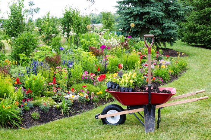 Jardin aménagé comprenant une multitude de fleurs de différentes couleurs apportant la gaieté. Une large pelouse tondue est présente avec des sapins.