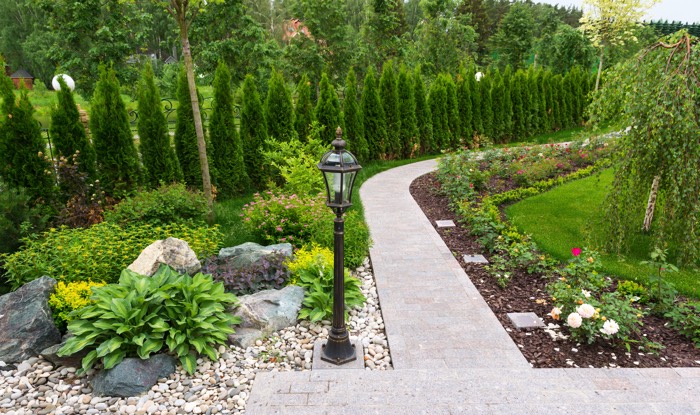 Jardin paysager composé d'une allée de sapinettes, d'un chemin fait en pierre et d'un luminaire noir. Le chemin est entouré de fleurs et de buissons.