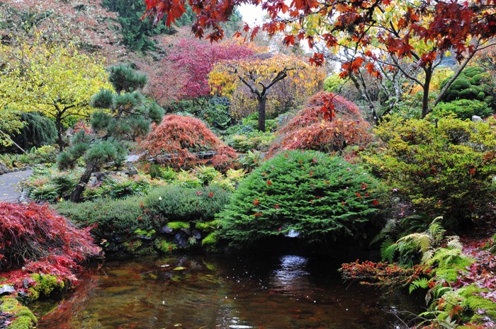 Jardin aménagé au sein d'un paysage sauvage de printemps. Des buissons sont dispersés aux alentours d'un petit lac.