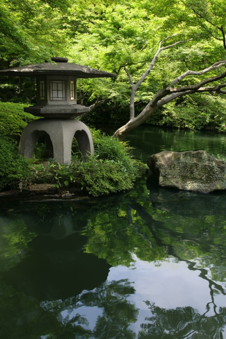 Jardin aménagé comprenant une structure à l'ambiance japonaise ainsi que de nombreux végétaux et une rivière. Arbres et plantes grasses.