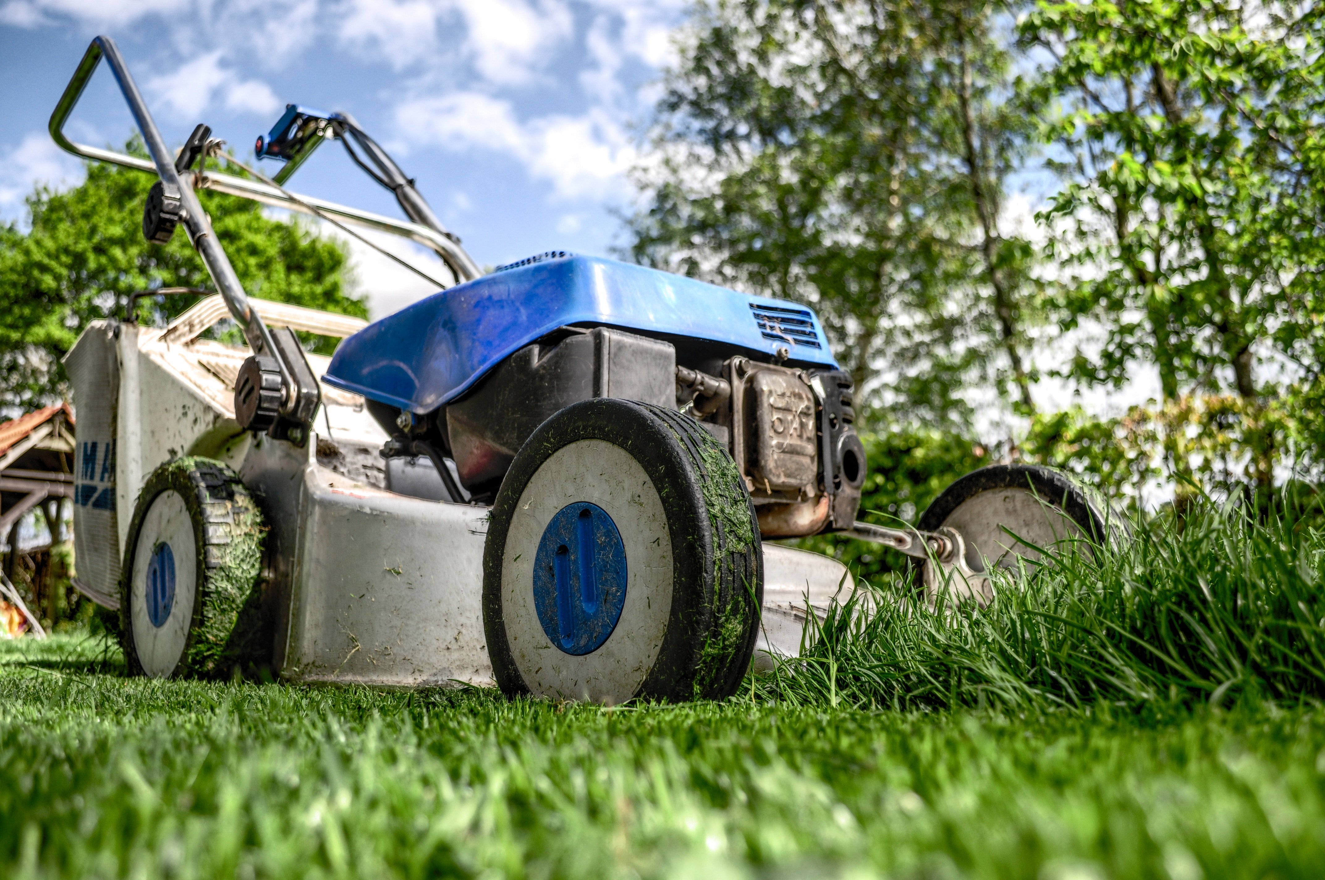 Bien choisir sa tondeuse pour réussir l'aménagement de son jardin