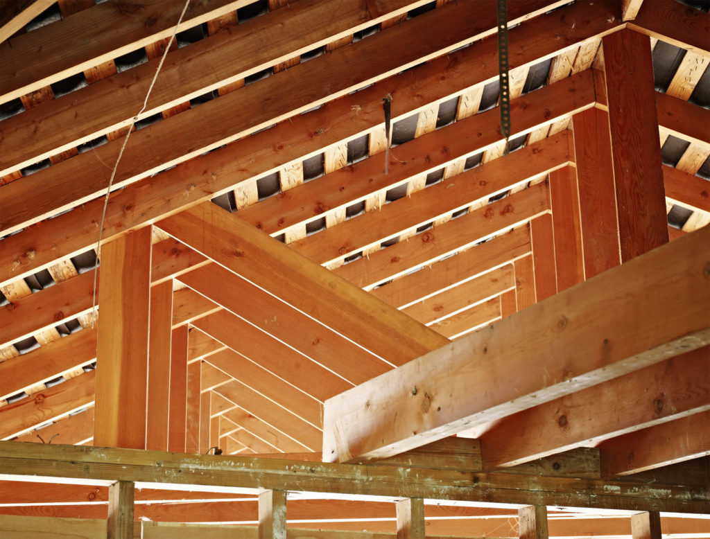 Quels traitements préventifs et curatifs pour une charpente en bois ?