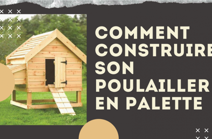 Comment construire son poulailler en palettes : 5 étapes simples